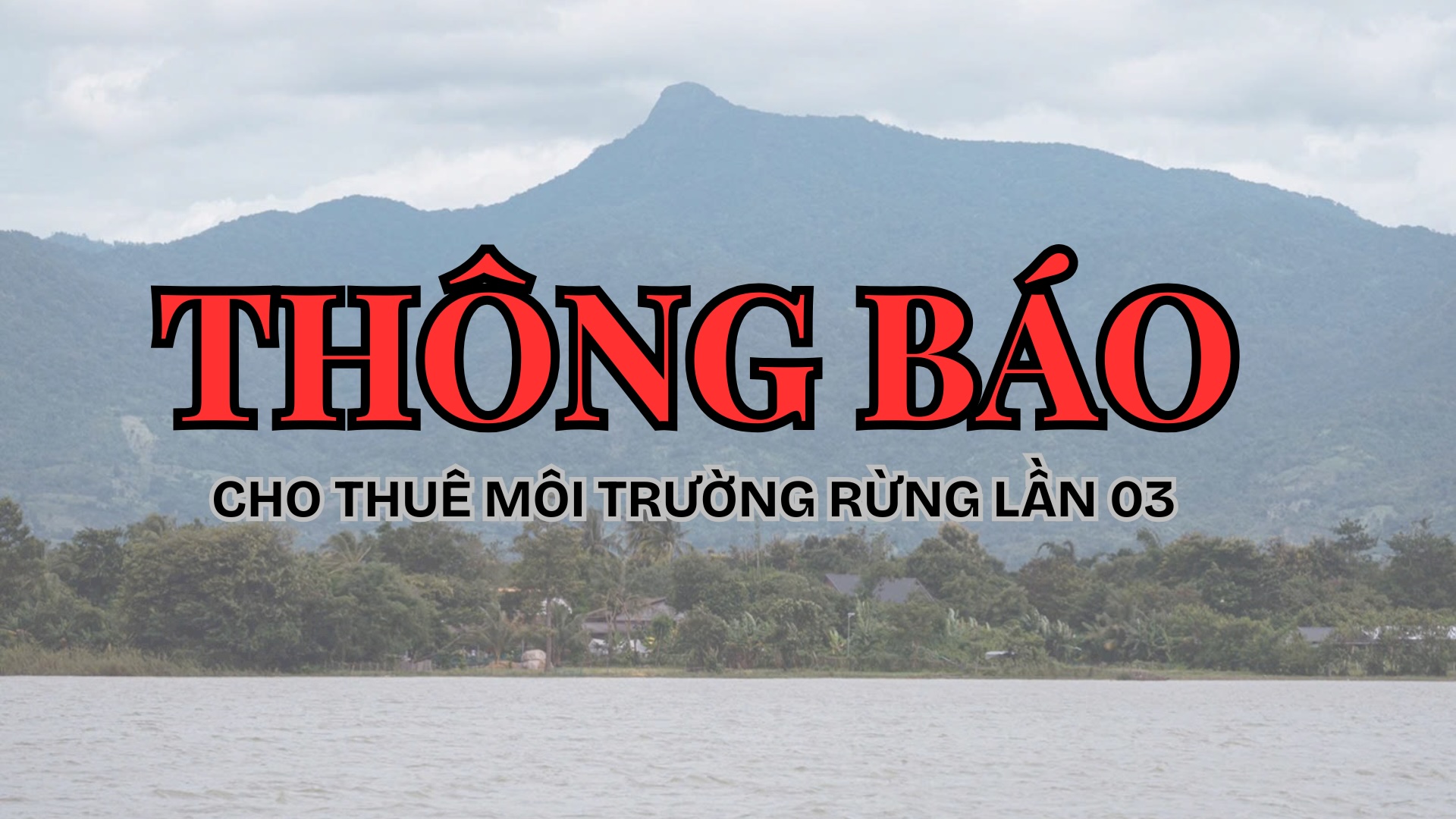 THÔNG BÁO CÔNG KHAI (LẦN 3) VỀ VIỆC CHO THUÊ MÔI TRƯỜNG RỪNG