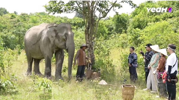 Hành trình của Gia đình Haha tại Rừng cảnh quan Hồ Lắk – Trải nghiệm chân thật giữa thiên nhiên Đắk Lắk