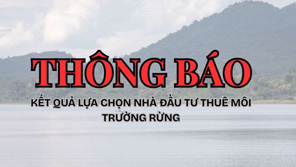 THÔNG BÁO KẾT QUẢ LỰA CHỌN NHÀ ĐẦU TƯ VÀ VỊ TRÍ NHÀ ĐẦU TƯ THUÊ MÔI TRƯỜNG RỪNG
