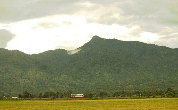 Cách di chuyển